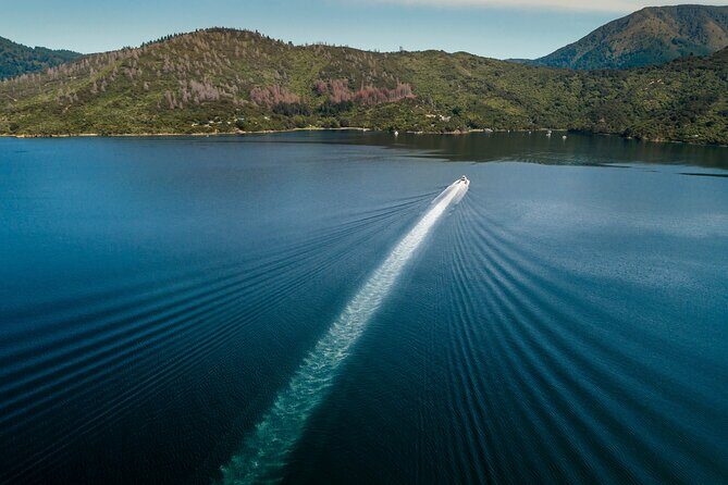 3.5 Hour Marlborough Sounds Delivery Cruise - Frequently Asked Questions