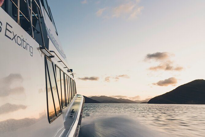 3.5 Hour Marlborough Sounds Delivery Cruise - Final Thoughts