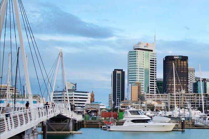 3.5 hour Sunset Tour on Waiheke Island - Who Will Love This Tour?