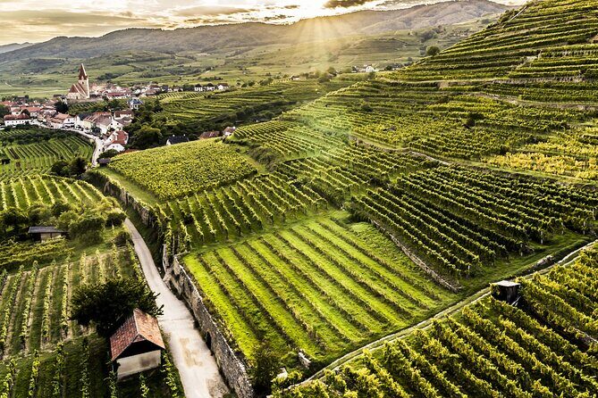 3 Castles and Wine Private Day Trip in Danube Valley from Vienna - FAQ
