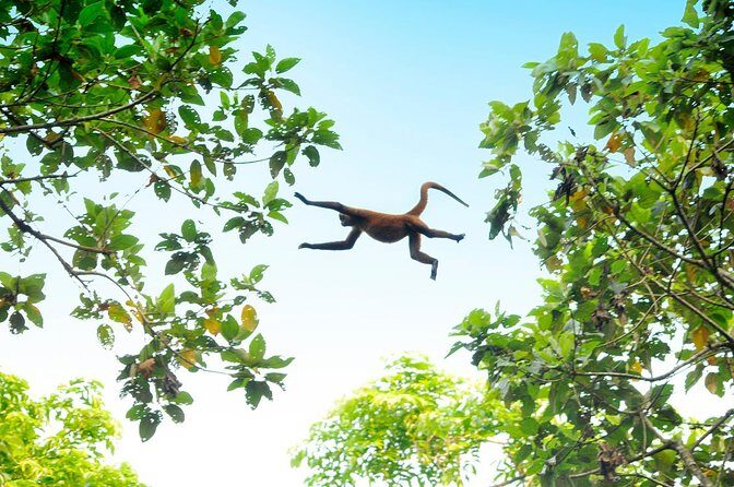 3 day / 2 night tour in Tortuguero - Key Points