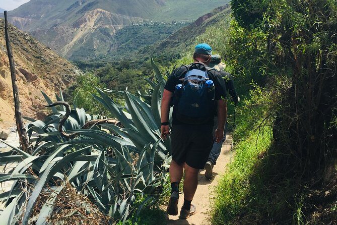 3 Day 2 Night Trek / Colca Canyon - Practical Tips for Your Trek