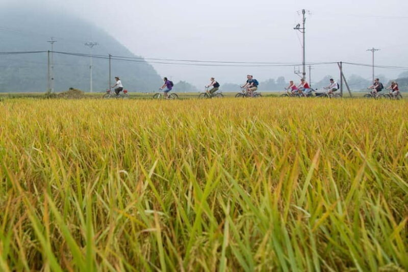 3-Day-2-Night Ultimate Escape in Mai Chau - FAQ