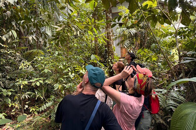 3-Day Adventure: Quito, Cotopaxi, Quilotoa, Baños, Jungle, Quito - Day 3: Amazon Wildlife and Hot Springs Finale