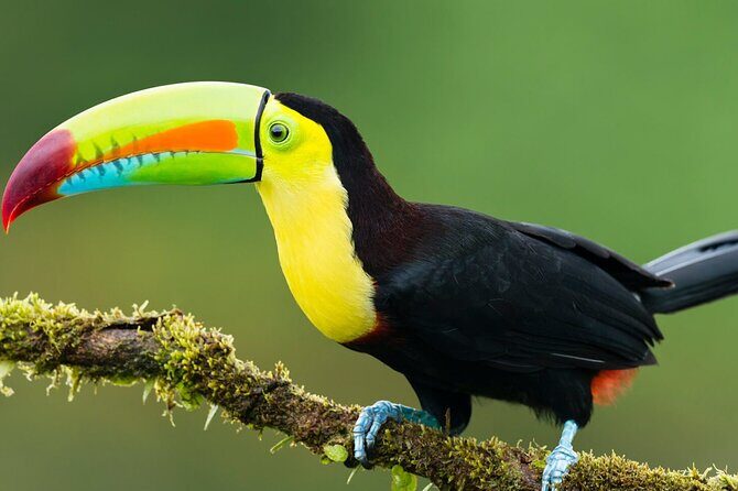 3-Day All Inclusive Guided Jungle Tour from Iquitos at Maniti Eco-Lodge - Discovering the Amazon with Maniti Expeditions