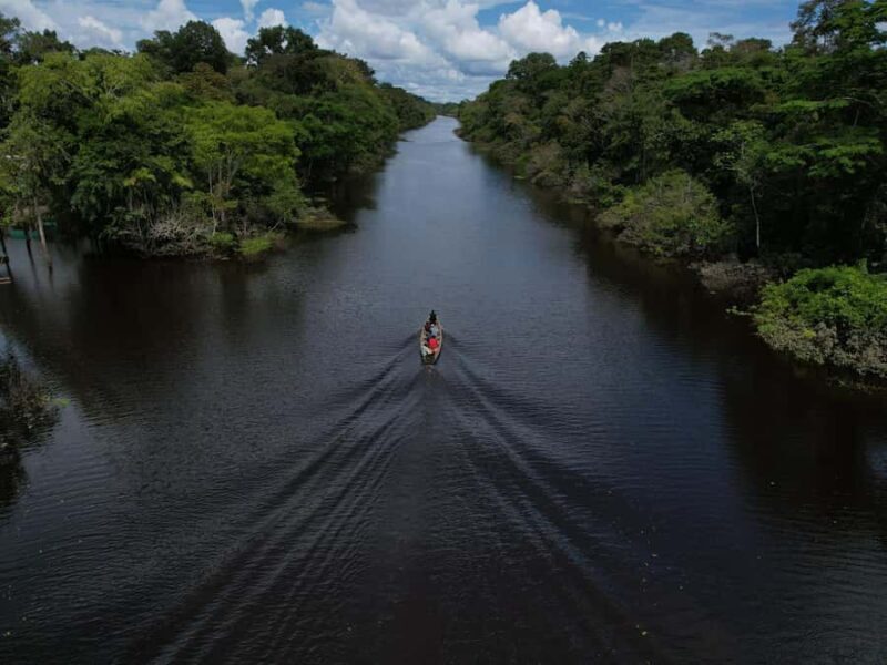 3-Day All Inclusive Guided Jungle Tour from Iquitos - A Deep Dive into the Amazon Jungle Tour Experience
