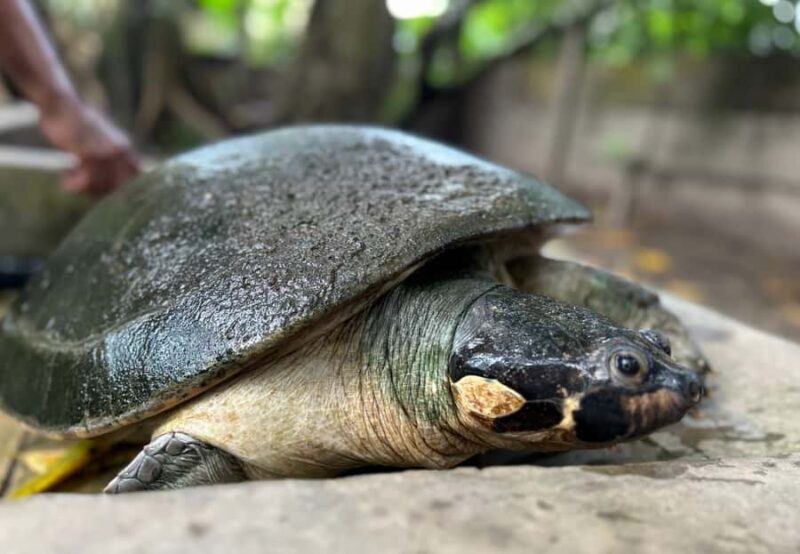 3-Day All Inclusive Guided Jungle Tour from Iquitos - How the Itinerary Works in Practice