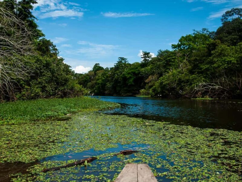 3-Day All Inclusive Guided Jungle Tour from Iquitos - Frequently Asked Questions