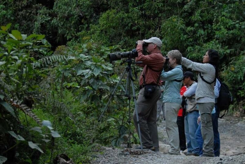 3-Day Amazon Adventure: Exploring the Jungle from Cusco - Authentic Experiences and What Travelers Say
