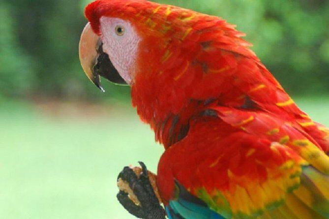 3-Day Amazon Jungle Tour at Eco Amazonia Lodge ECOLOGICO - Discover the Amazon in Comfort and Style