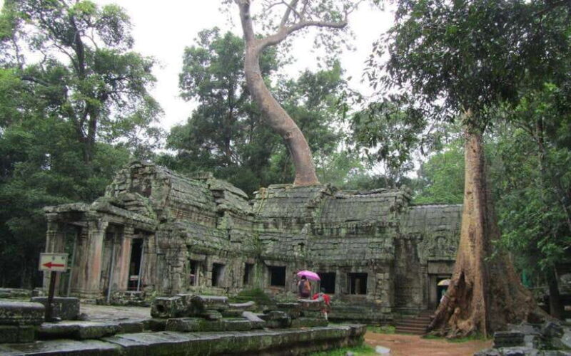 3-Day Angkor, Kompong Phluk & Roluos Temples Tour - The Full Experience: What You Can Expect from Each Day