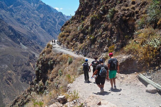 3-Day Backpacker Colca Canyon Trek from Arequipa - Experience the majesty of Colca Canyon on a 3-day backpacker trek from Arequipa