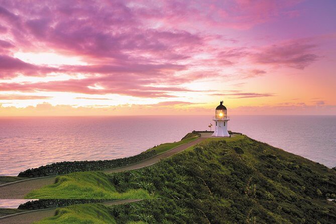 3 Day Bay Of Islands Tour from Auckland including Waitangi and Cape Reinga - What Travelers Say: Authentic Voices
