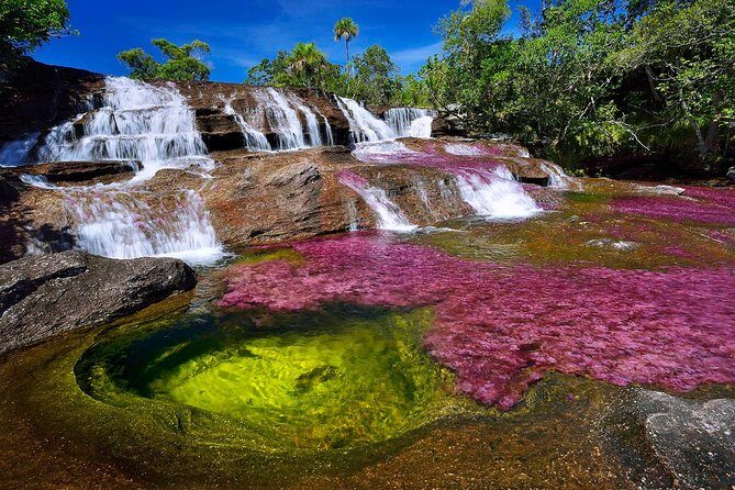 3-Day Caño Cristales (Rainbow River) from Bogotá - Key Points