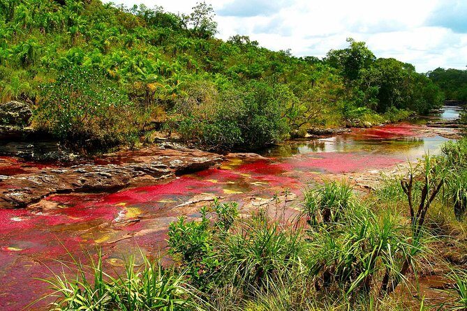 3-Day Caño Cristales (Rainbow River) from Bogotá - Who Should Consider This Tour?