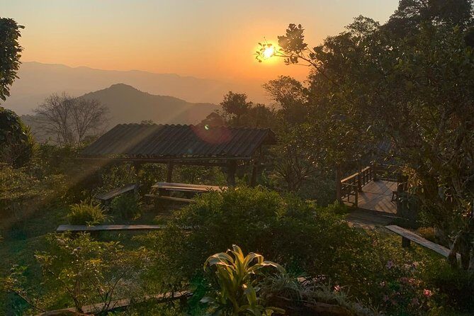 3-Day Chiang Dao Mountain Trek - Day 2: Challenging Trails and Mountain Ridges