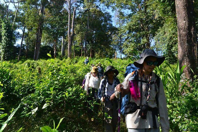 3-Day Chiang Dao Mountain Trek - Authentic and Well-Organized