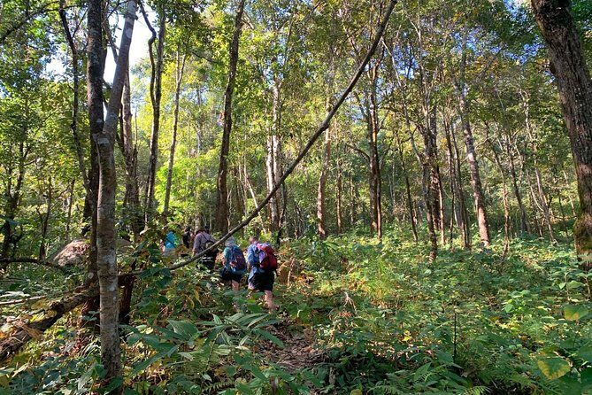 3-Day Chiang Dao Mountain Trek - Hiking and Physical Demands