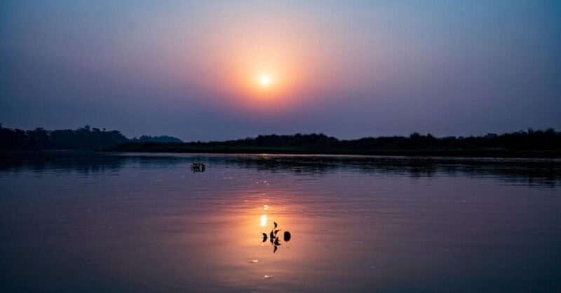 3-Day Chitwan Jungle Safari Adventure From Kathmandu/Pokhara - Final Thoughts