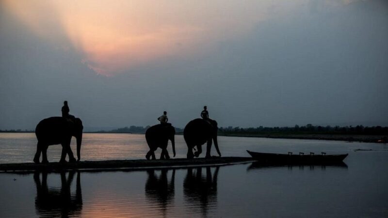 3-Day Chitwan Jungle Safari Adventure From Kathmandu/Pokhara - FAQ