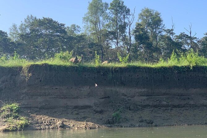 3-Day Chitwan Jungle Safari from Kathmandu All-Inclusive Tour - Who Should Consider This Tour?