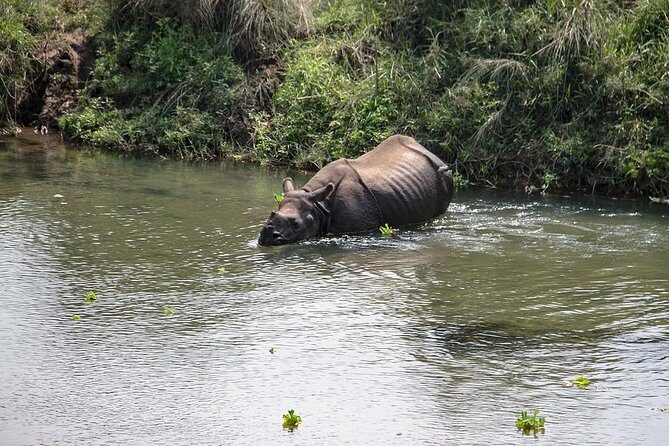 3-Day Chitwan Jungle Safari Tour from Kathmandu - Starting Point and Transportation