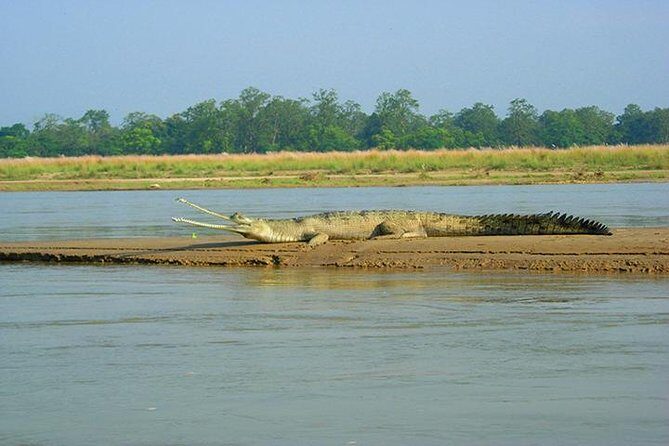 3-Day Chitwan Jungle Safari Tour from Kathmandu - Exploring Tharu Village