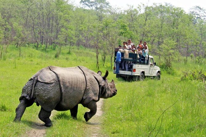 3 Day Chitwan National Park, Jungle Safari Package all Inclusive - Why Travelers Love This Tour