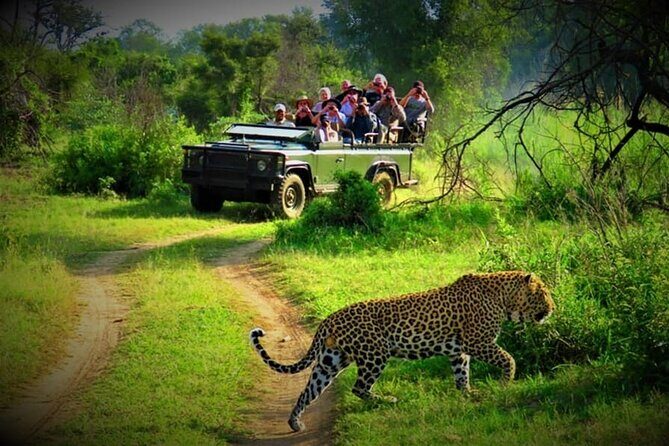 3 Day Chitwan National Park, Jungle Safari Package all Inclusive - Who Should Consider This Tour?