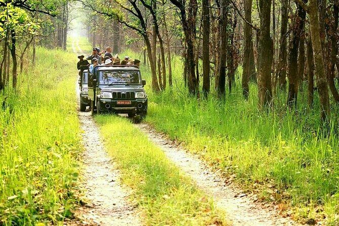 3 Day Chitwan National Park, Jungle Safari Package all Inclusive - FAQ