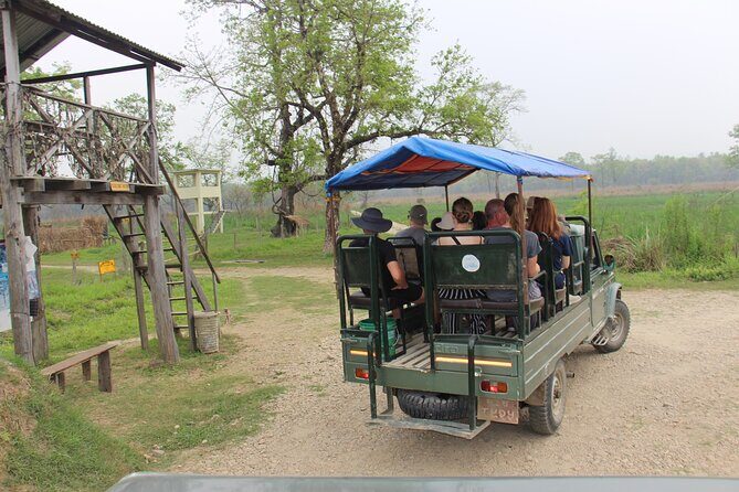 3-Day Chitwan National Park Jungle Safari Tour Package with Pick Up - Transportation and Accommodation: What to Expect