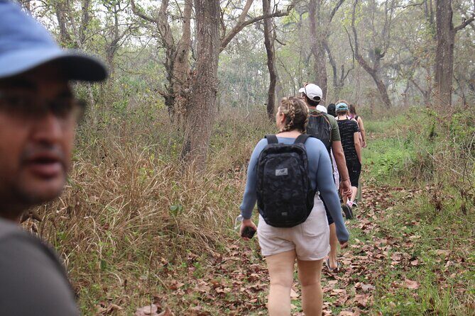 3-Day Chitwan National Park Jungle Safari Tour Package with Pick Up - Is This Tour Right for You?
