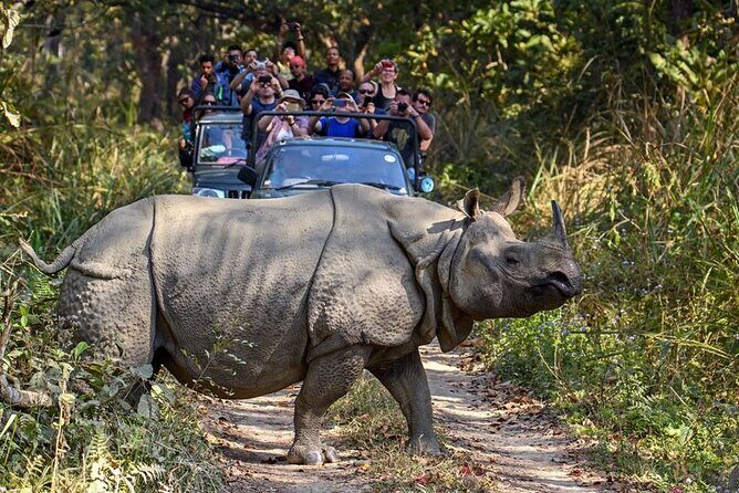 3-Day Chitwan National Park Jungle Safari Tour Package with Pick Up - FAQ
