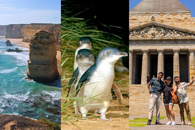3 Day Combo: Great Ocean Road, Penguin Parade and FREE City Tour - Experience the Best of Melbourne and Surrounds in 3 Days