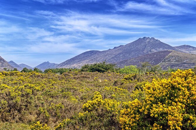 3-Day Discover Northern Ireland Small-Group Tour from Dublin - Who Will Love This Tour?