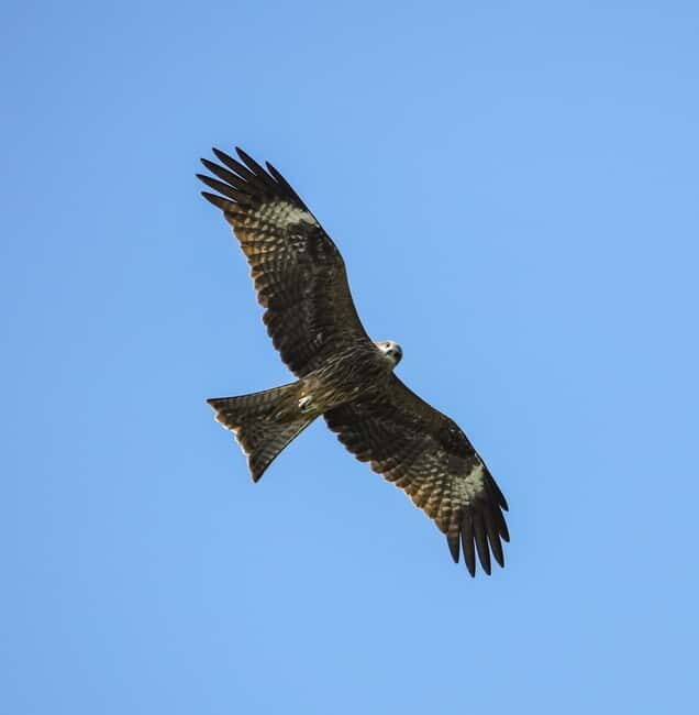 3-Day Discover the most stunning Cat Ba Island - Lan Ha Bay - FAQ
