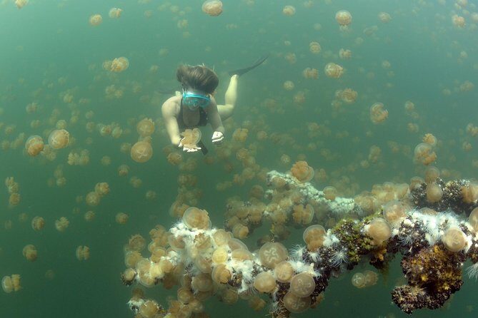 3 Day Dive Tour - A Deep Dive into the Experience