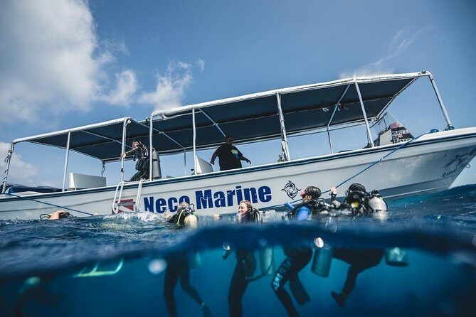 3 Day Dive Tour - Final Thoughts: Is This Tour for You?