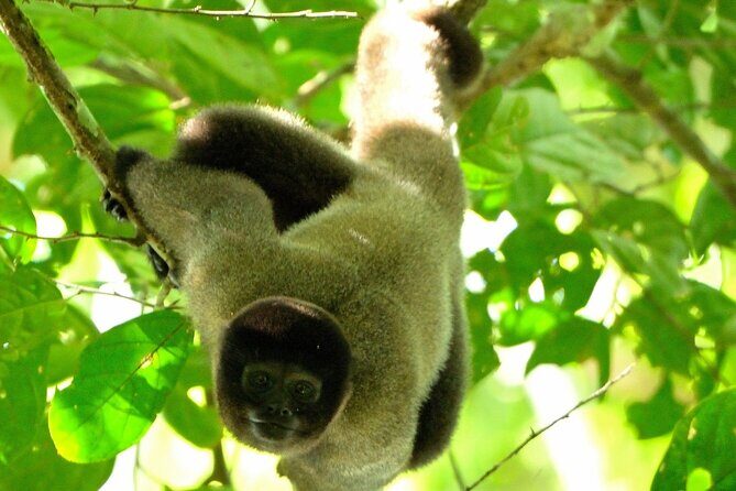 3-Day Eco-Sustainable Private Tour Manu National Park - Key Points