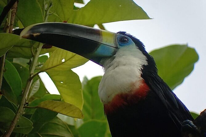 3-Day Eco-Sustainable Private Tour Manu National Park - A Deep Dive Into the 3-Day Manu Experience