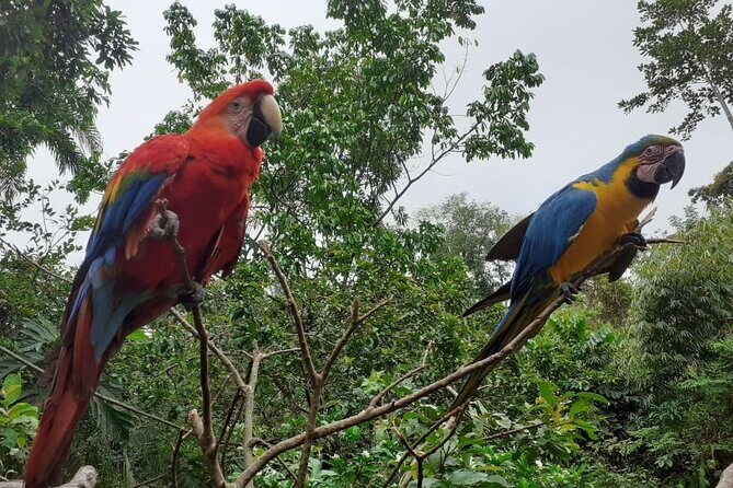 3-Day Eco-Sustainable Private Tour Manu National Park - FAQ