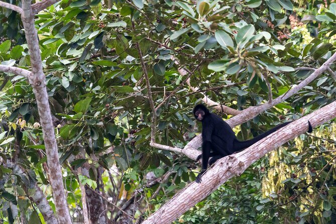 3-Day Eco-Sustainable Private Tour Manu National Park - Final Thoughts