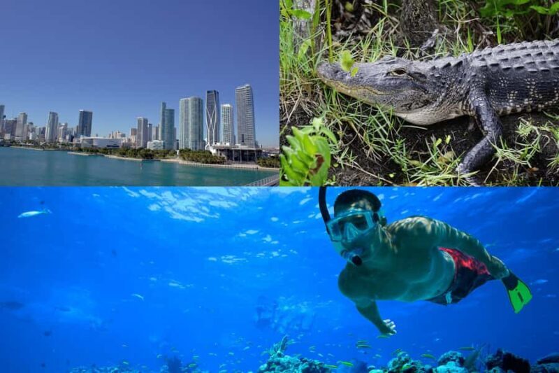 3-Day Florida Getaway: Miami, Everglades & Key West Snorkel - The Wild Heart of the Everglades