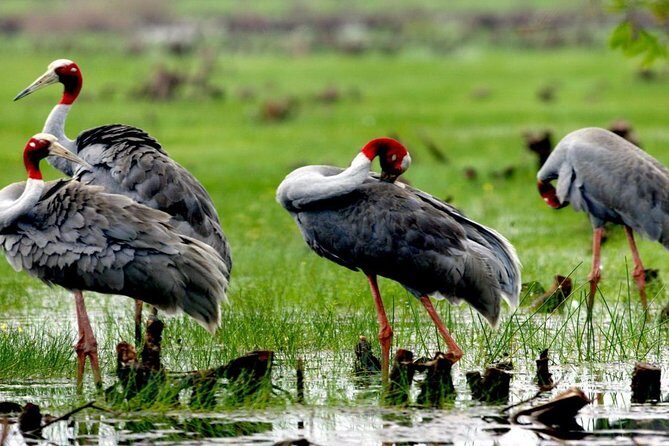 3-day group tour from Saigon to Phnom Penh - Exploring the Mekong: What’s Included and Why It Matters