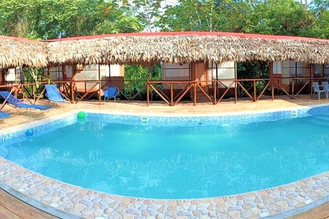 3-Day Iquitos Amazon Jungle Tour at Avatar Amazon Lodge - A Close-Up Look at the Iquitos Amazon Tour