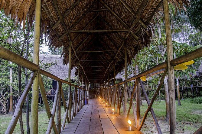 3-Day Iquitos Jungle Adventure at Muyuna Lodge - Who Will Love This Tour?