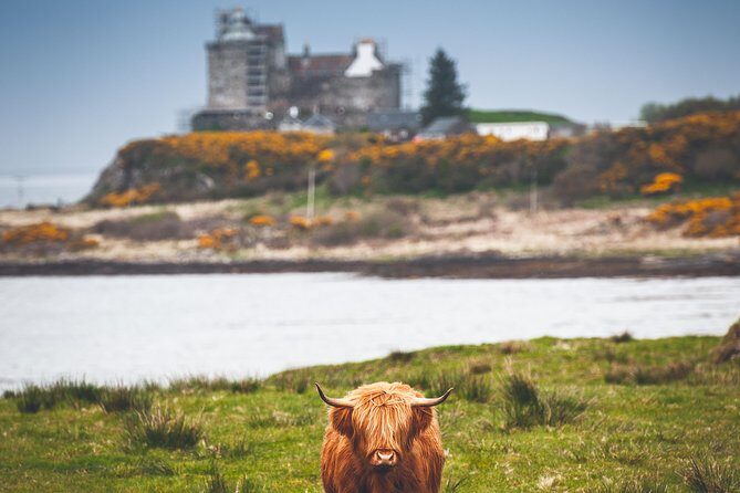 3-Day Isle of Mull and Iona Small-Group Tour from Glasgow - Who Should Consider This Tour?