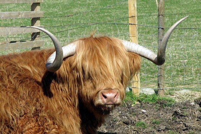 3-Day Isle of Skye and Highlands Tour from Glasgow - A Deep Dive into the 3-Day Scottish Highlands and Isle of Skye Tour