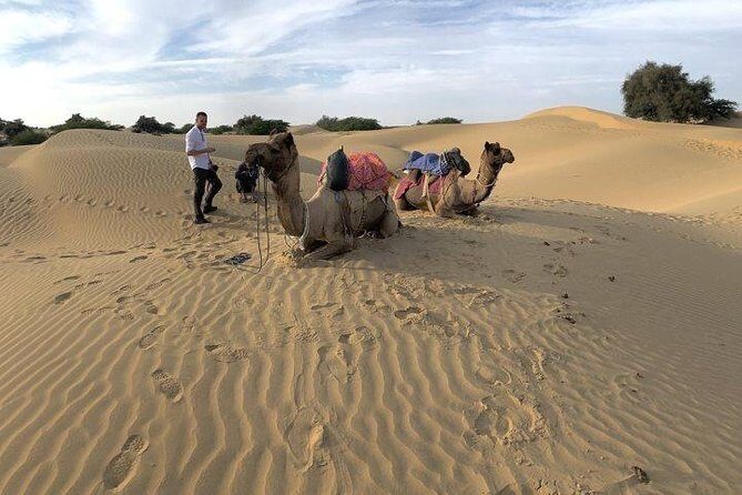 3-Day Jaisalmer Tour From Jodhpur - Who Will Love This Tour?
