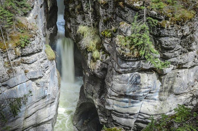 3-Day Jasper and Icefield Tour from Calgary - Final Thoughts